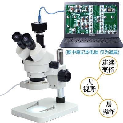 探索微观世界的窗口 显微镜的科学与应用